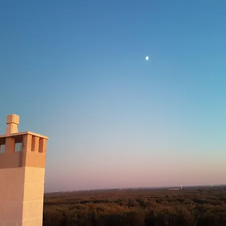 Antica Masseria Torre Mozza 山林小屋