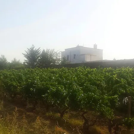 Antica Masseria Torre Mozza 托雷圣苏桑纳