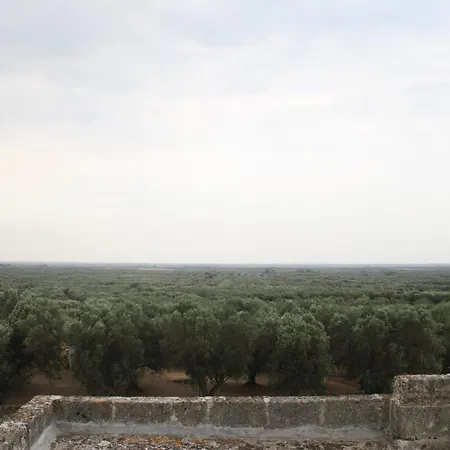 Antica Masseria Torre Mozza 托雷圣苏桑纳