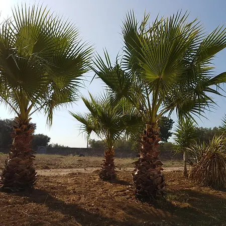 Lodge Antica Masseria Torre Mozza