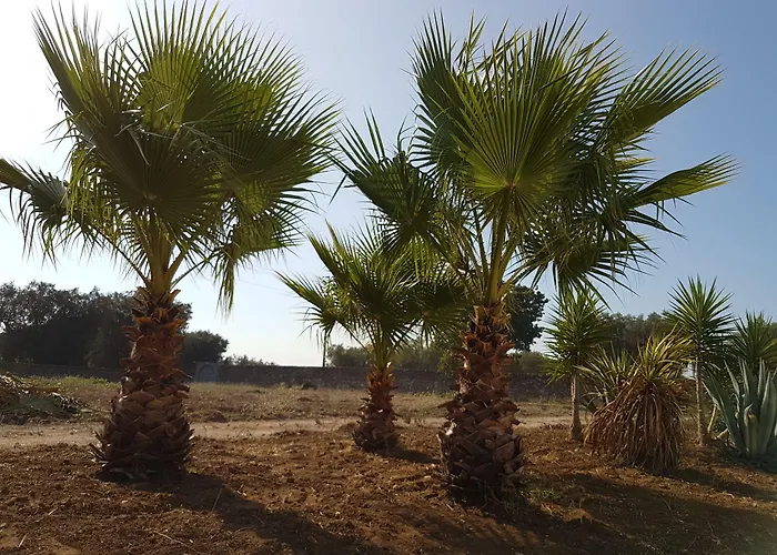 Antica Masseria Torre Mozza *