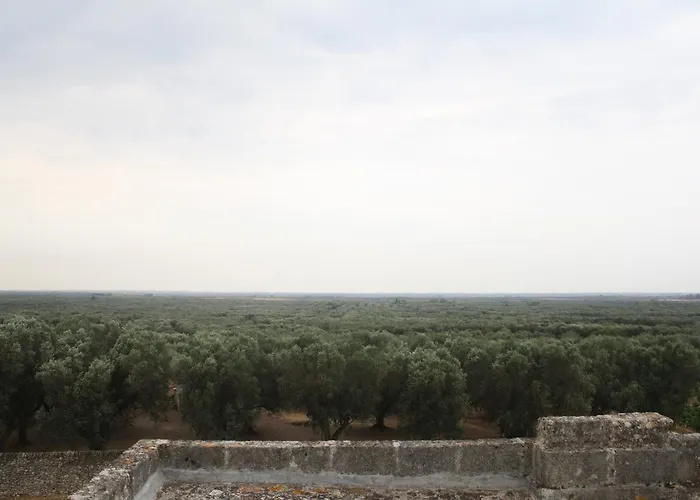 Antica Masseria Torre Mozza 토레 산타 수잔나